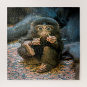 Alberner kleiner Affe