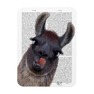 Alberner Lama Magnet
