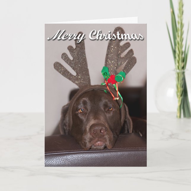 Alberner Weihnachtsmann mit festlichen Antlern Feiertagskarte (Vorderseite)