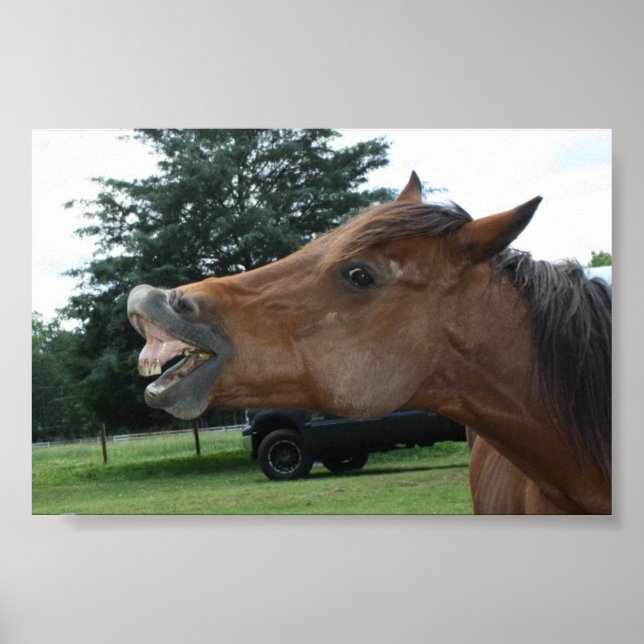 Albernes Horse Poster; Wählen Sie eine Hintergrund Poster (Vorne)