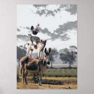 Albernes Tierplakat Poster