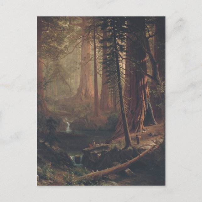 Albert Bierstadt Giant Redwood Trees of California Postkarte (Vorderseite)