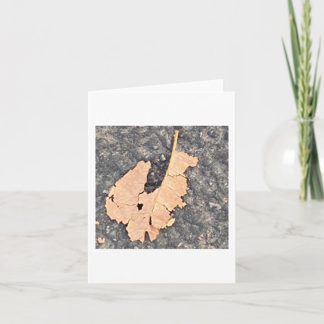Albert Das Blatt Eichhörnchen 🐿️  Karte (Vorderseite)
