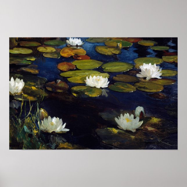 Albert Edelfelt - Water Lilies, Studie Poster (Vorne)