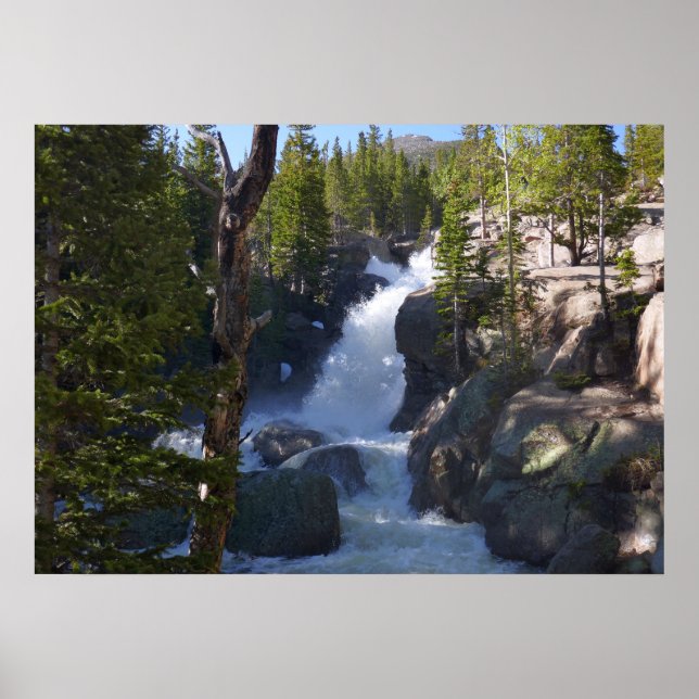 Alberta Falls I Poster (Vorne)