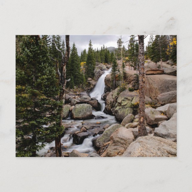 Alberta Falls in Rocky Mountain National Park Postkarte (Vorderseite)