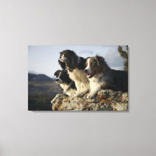 Alberta, Kanada 2 Leinwanddruck