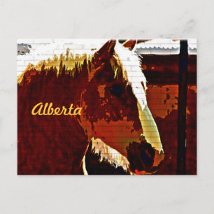 Alberta, Kanada, Sorrel Pferd in Profile Postcard Postkarte