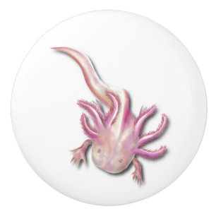 Albino Axolotl "Walking Fish" Kunst, Dichtung und Keramikknauf