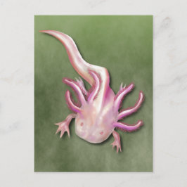 Albino Axolotl "Walking Fish" Kunst, Dichtung und  Postkarte
