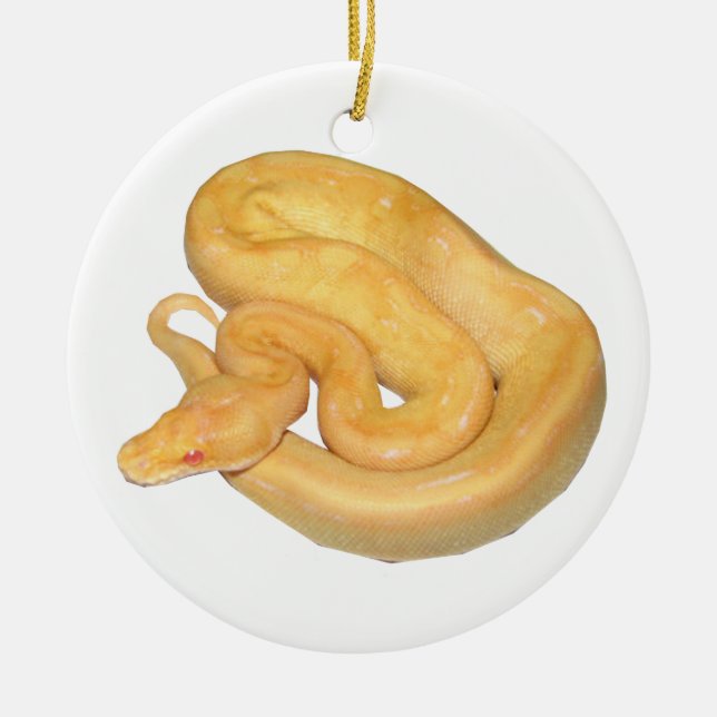 Albino Champagne Keramik Ornament (Vorne)