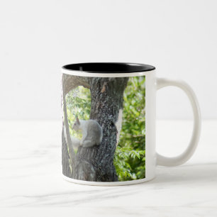 Albino Eichhörnchen-Tasse Zweifarbige Tasse