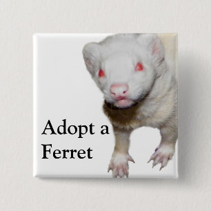 Albino Ferret Picture Button