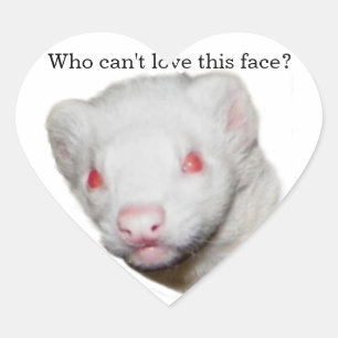 Albino Ferret Picture Herz-Aufkleber