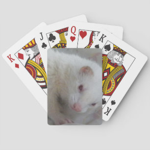 Albino Ferret Picture Spielkarten
