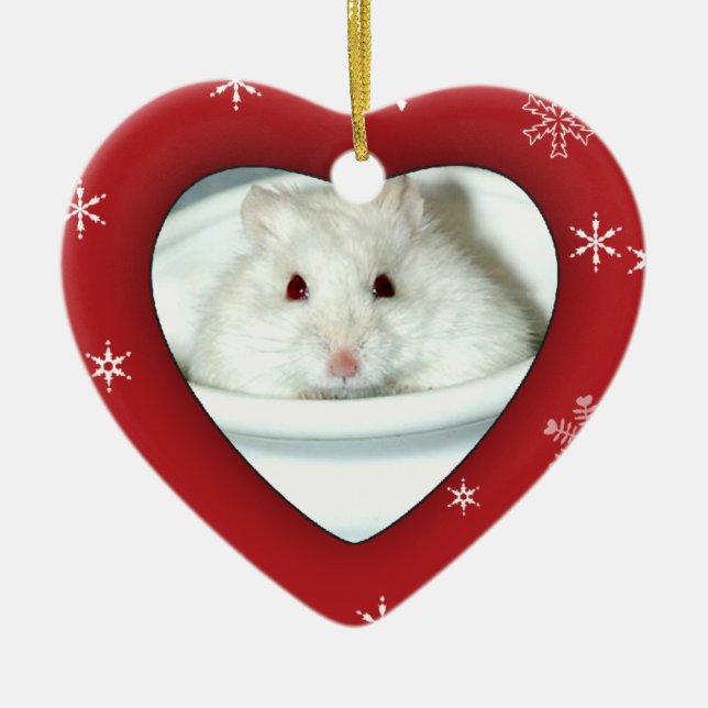 Albino-Hamster-Foto Keramik Ornament (Vorne)
