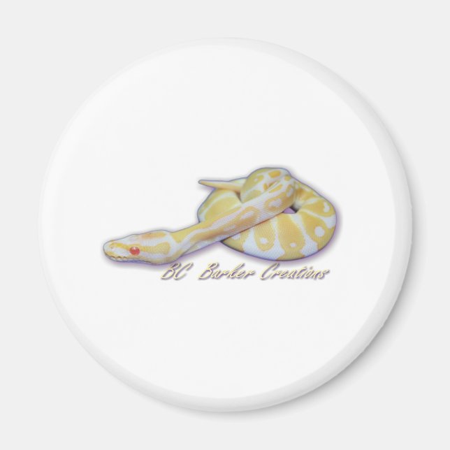 Albino Hatchling Ball Python Magnet (Vorne)