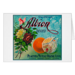 Albion Marken-Zitrusfrucht-Kisten-Aufkleber