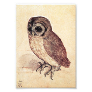 Albrecht Durer der kleine Eulen-Druck Fotodruck