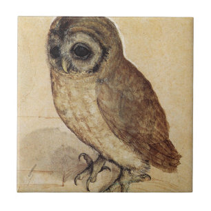 Albrecht Dürer - Der kleine Uhu Fliese