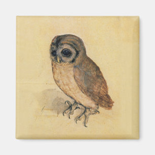 Albrecht Dürer Der kleine Uhu Magnet