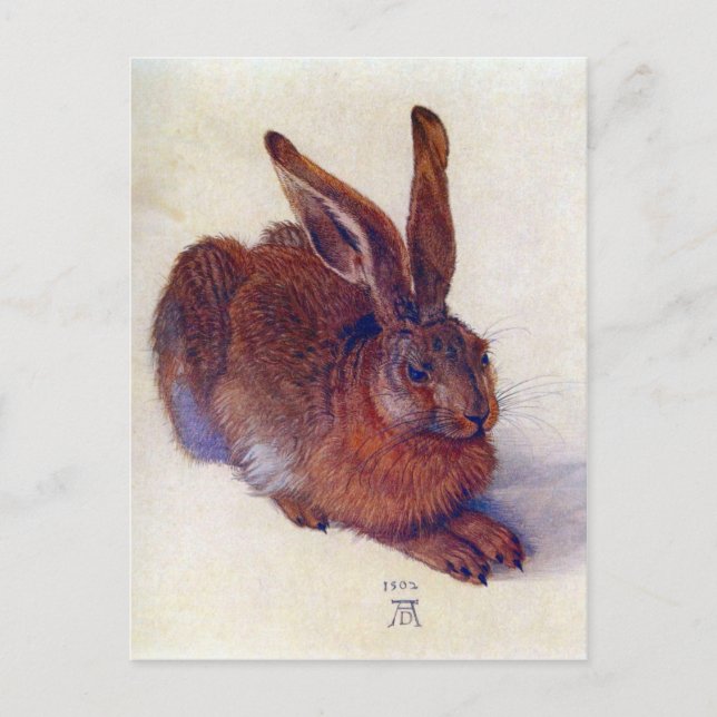 Albrecht Durer - Field hare Postkarte (Vorderseite)