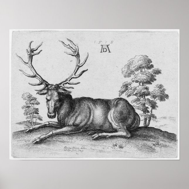Albrecht Durer Graving Stag Deer Poster (Vorne)