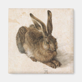 Albrecht Dürer - Junger Hase (Young Hare), 1502 Magnet