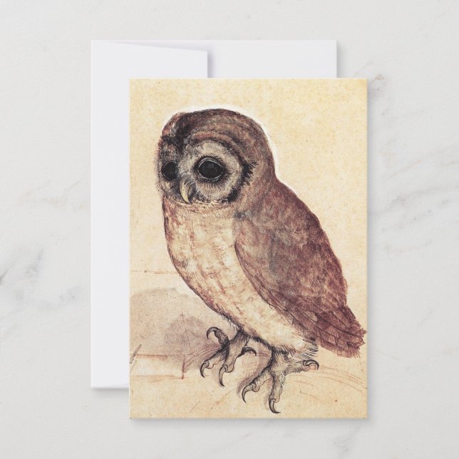Albrecht Durer les invitations de petit hibou (Devant)