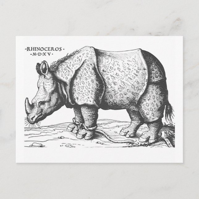 Albrecht Durer - Rhinoceros Postkarte (Vorderseite)