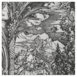 Albrecht Dürer Schwarzweiss Stoff