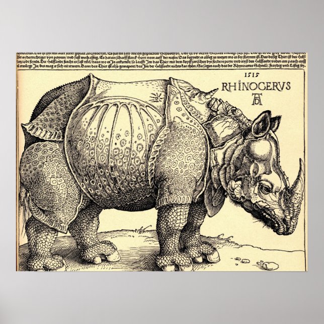 Albrecht Durer Sketching Poster (Vorne)