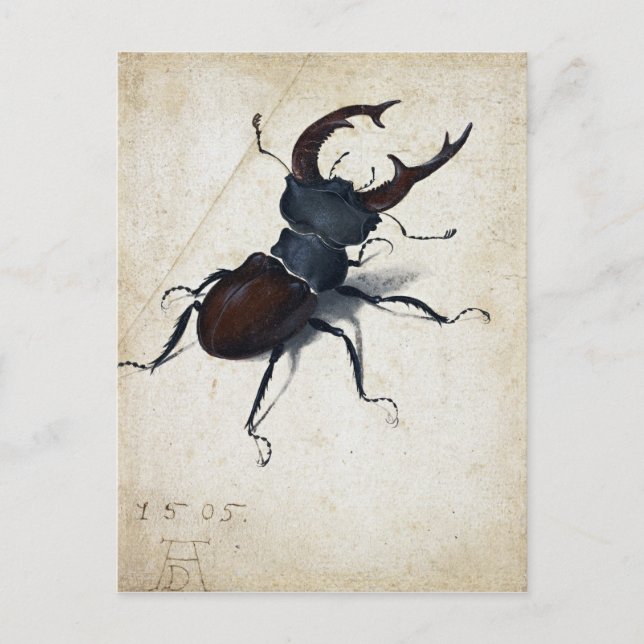 Albrecht Dürer Stag Beetle Postkarte (Vorderseite)