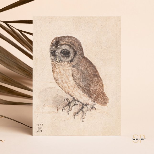 Albrecht Durer The Little Owl Art Postkarte (Von Creator hochgeladen)