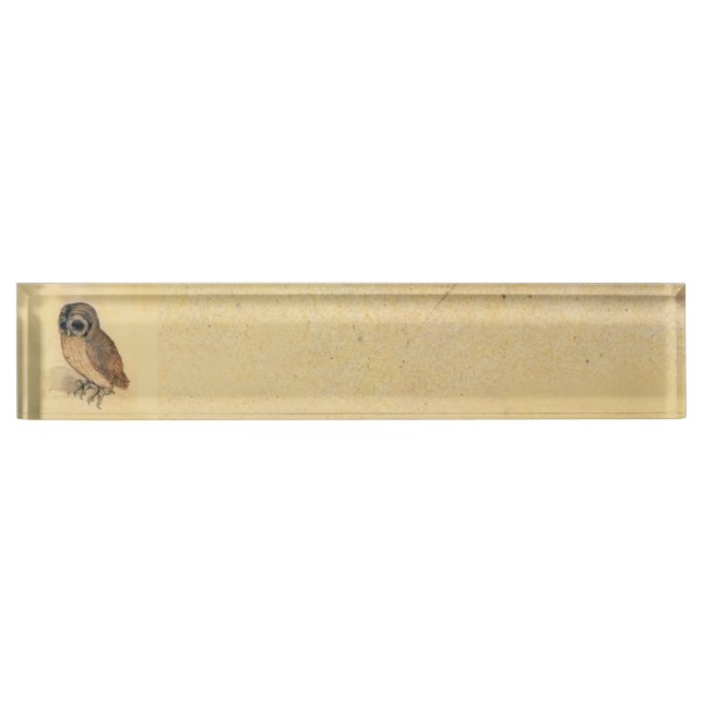 Albrecht Durer The Little Owl Namensplakette (Vorderseite)