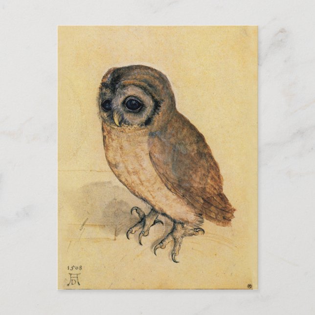 Albrecht Durer The Little Owl Postkarte (Vorderseite)