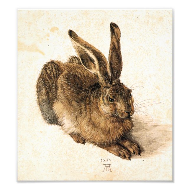 Albrecht Durer Young Hare Fotodruck (Vorne)