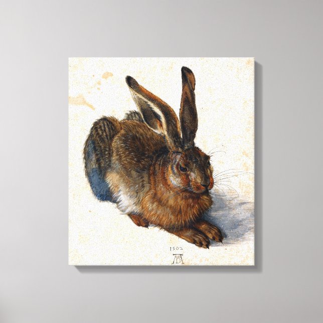 Albrecht Durer Young Hare Leinwanddruck (Vorderseite)