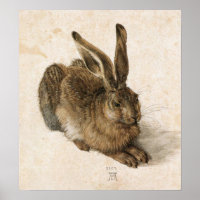 Albrecht Durer Young Hare