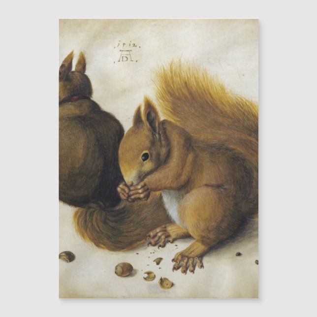 Albrecht Durer - zwei Eichhörnchen Magnetkarte (Vorderseite)