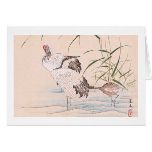 Album d'oiseau et de fleur, pataugeant l'art de