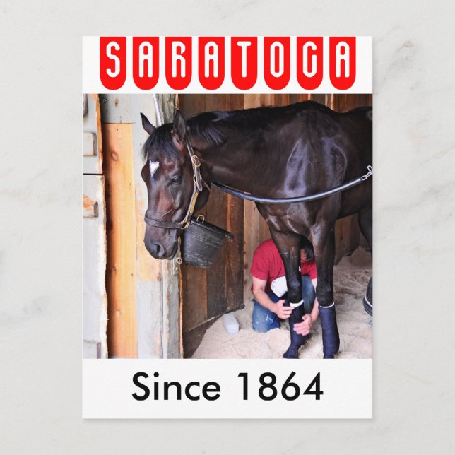 Alcolite-Pferde-Haven-Barns in Saratoga Postkarte (Vorderseite)