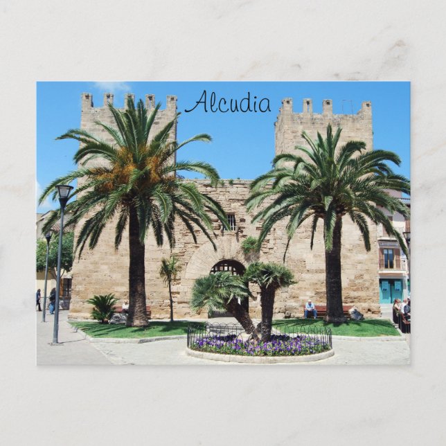 Alcudia, Mallorca Postkarte (Vorderseite)