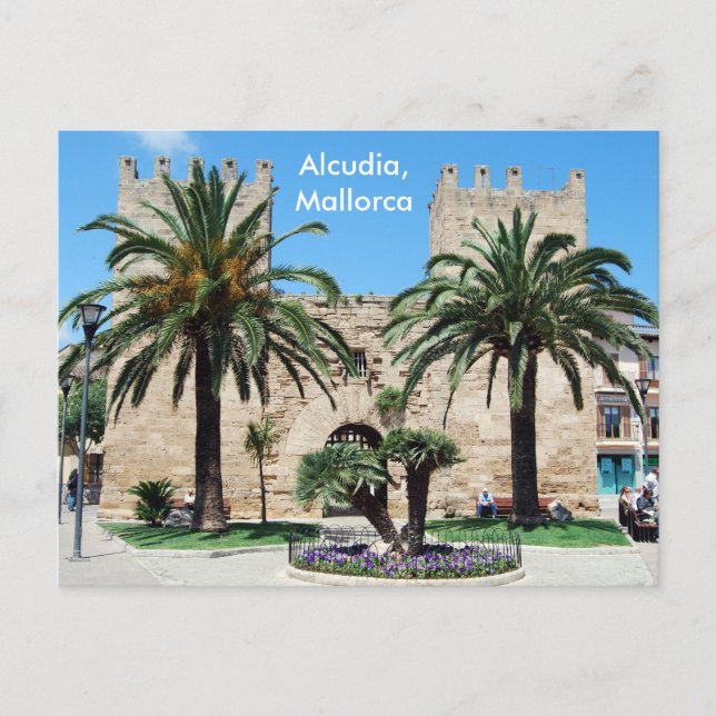 Alcudia, Mallorca Postkarte (Vorderseite)