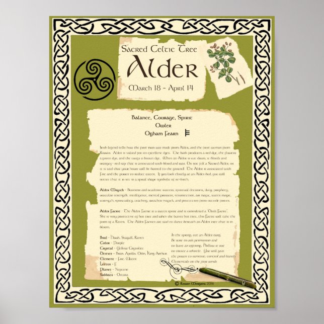 ALDER CELTIC SACRED TREM POSTER (Vorne)