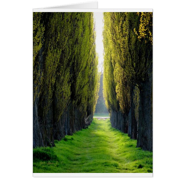 ALEJAWroclaw Polen (Vorne)