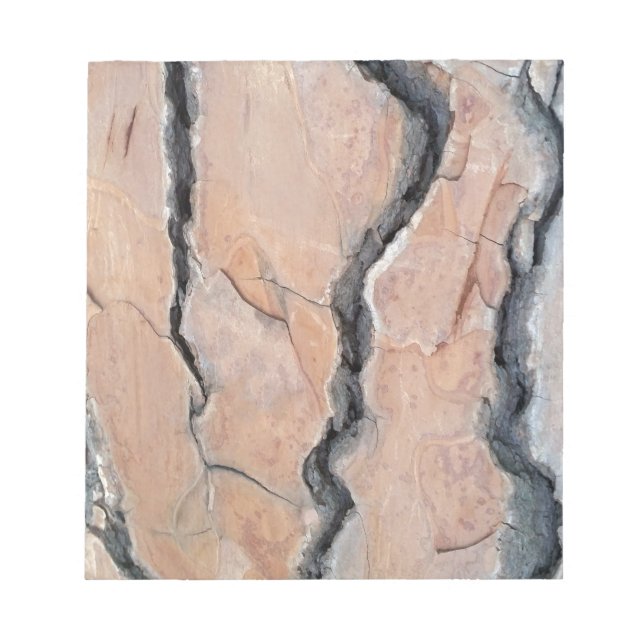 Aleppo Pine Notizblock (Vorderseite)