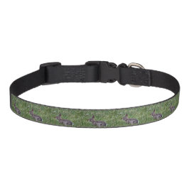 Alert Bunny Hundehalsband Haustierhalsband