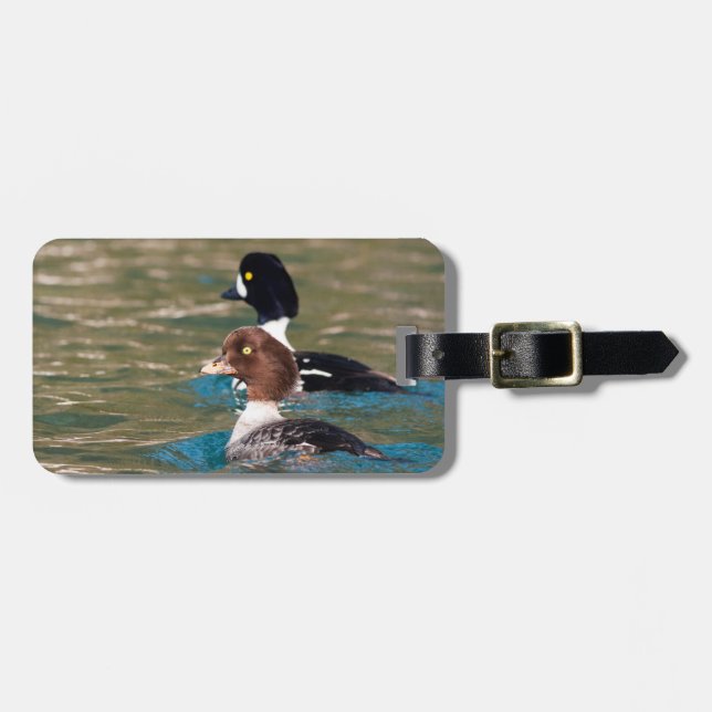Alert Goldeneye Gepäckanhänger (Vorderseite horizontal)