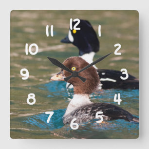 Alert Goldeneye Quadratische Wanduhr